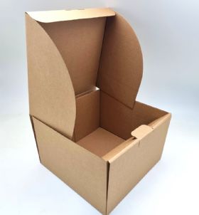 קופסא למשלוחים גבוהה- 24X24+15