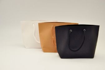 שקית קרטון תיק קטן 21X15+6