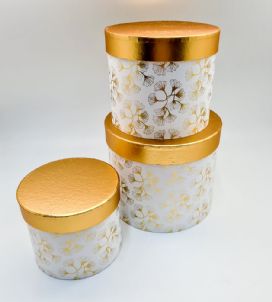 סט שלישיה עם מכסה זהב- קופסא גבוהה