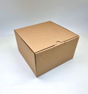 קופסא למשלוחים גבוהה- 24X24+15