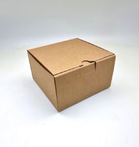 קופסא למשלוחים גבוהה - קרטון 17X17+10