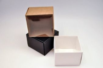 קופסא עם מכסה שקוף 12X12X9
