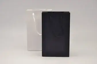 שקית קרטון 13X21+7