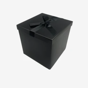 קופסת קרטון-L 22X22+21.5